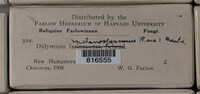 Image Associated With the Occurence